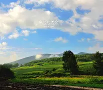 关于塞北暴熊队对阵河套雪豹队，足球小组赛守住胜果，细节决定成败——回归即成焦点的信息
